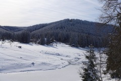 P1020456