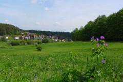 P1020052