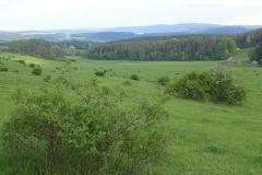 P1020084