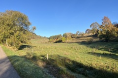 IMG_3906