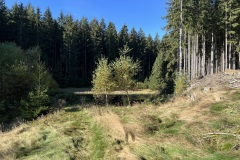IMG_3926